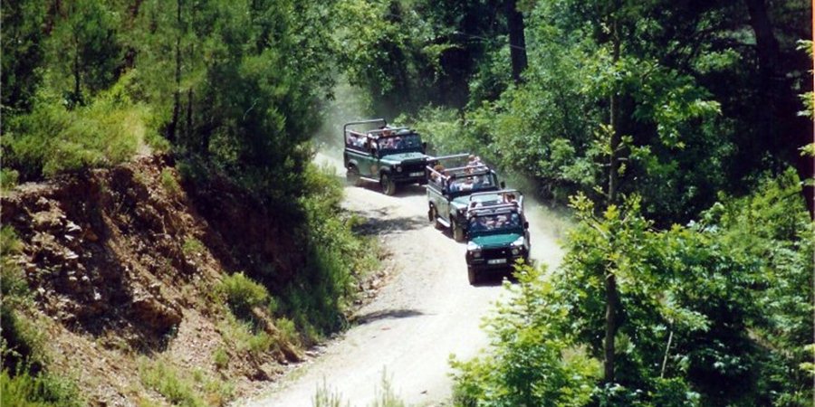 Side Jeep Safari