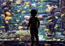 Antalya Aquarium Tour von Side
