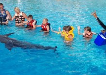 Schwimmen mit Delfinen von Side